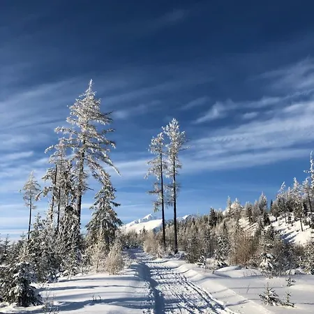 Apartmanovy Dom 44 بيت للعطل